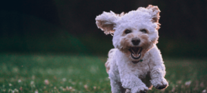 excited about life